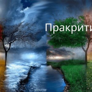 Пракрити